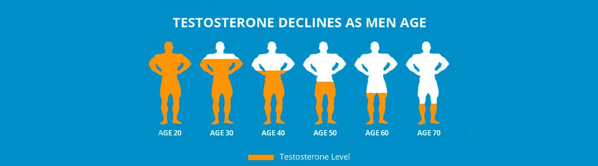 testosterone testoryl