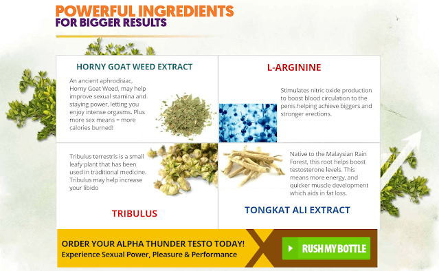 Ingredients-Of-Alpha-Thunder-Testo-CA.png (639×394)
