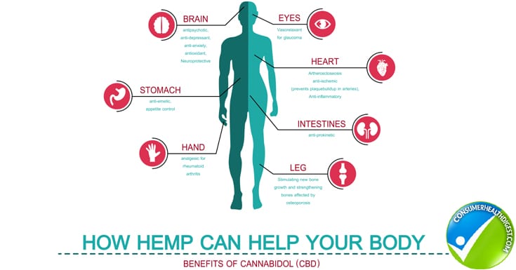 Benefits CBD Oil