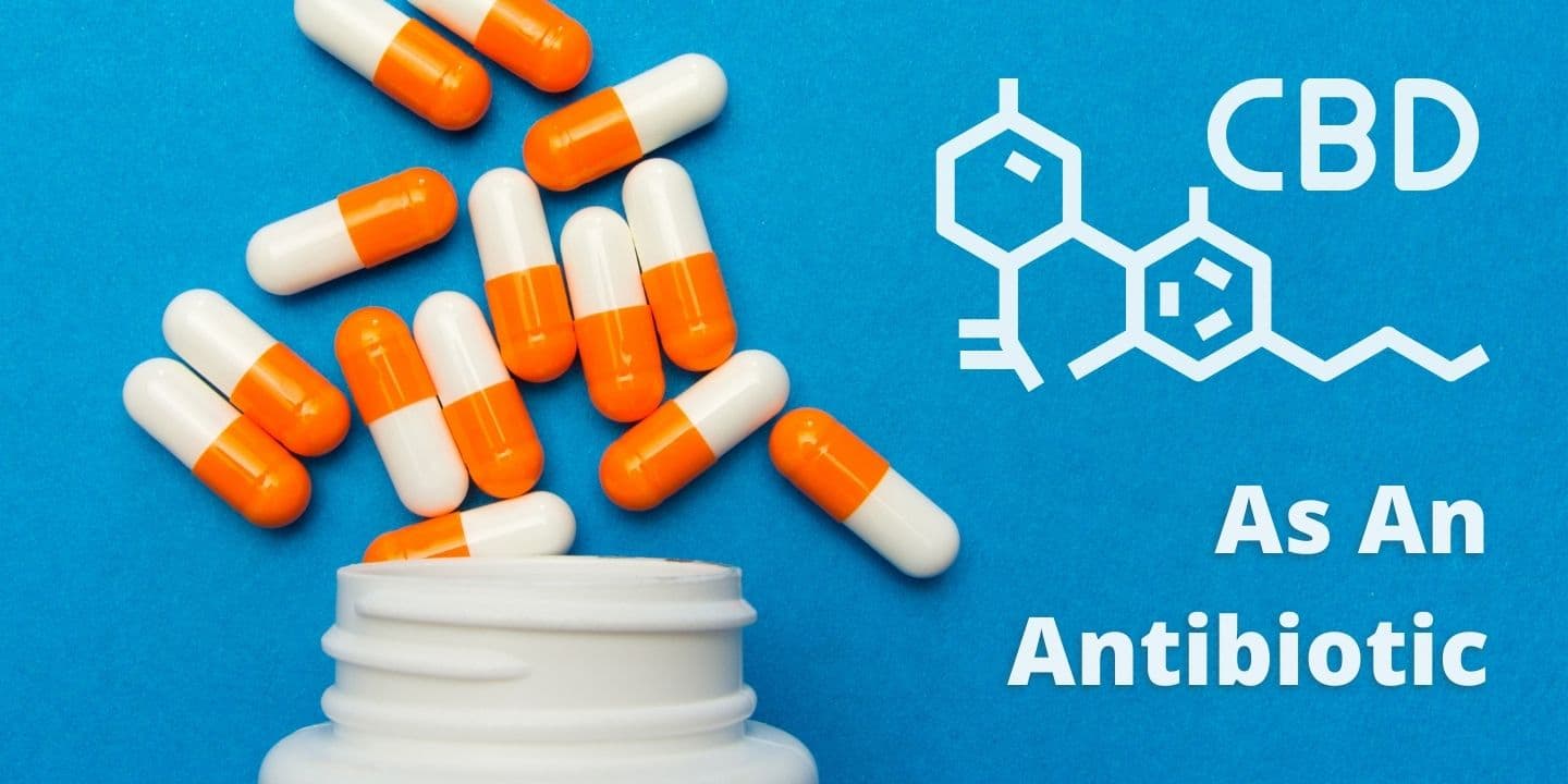 CBD Molecule As An Antibiotic
