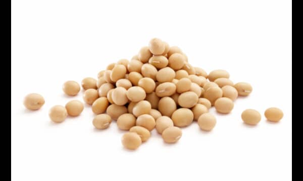 Soya Beans