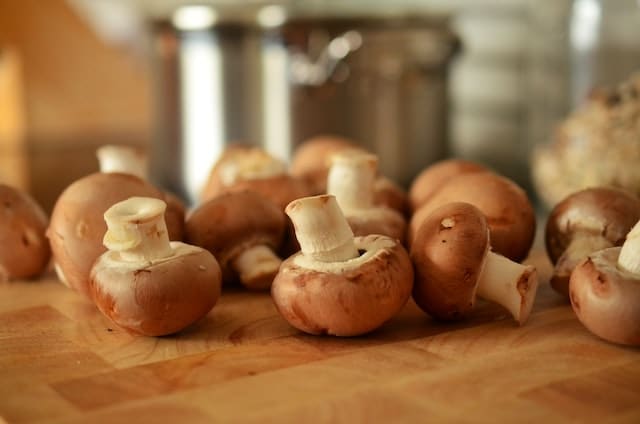 Everything You Need to Know about Mushrooms