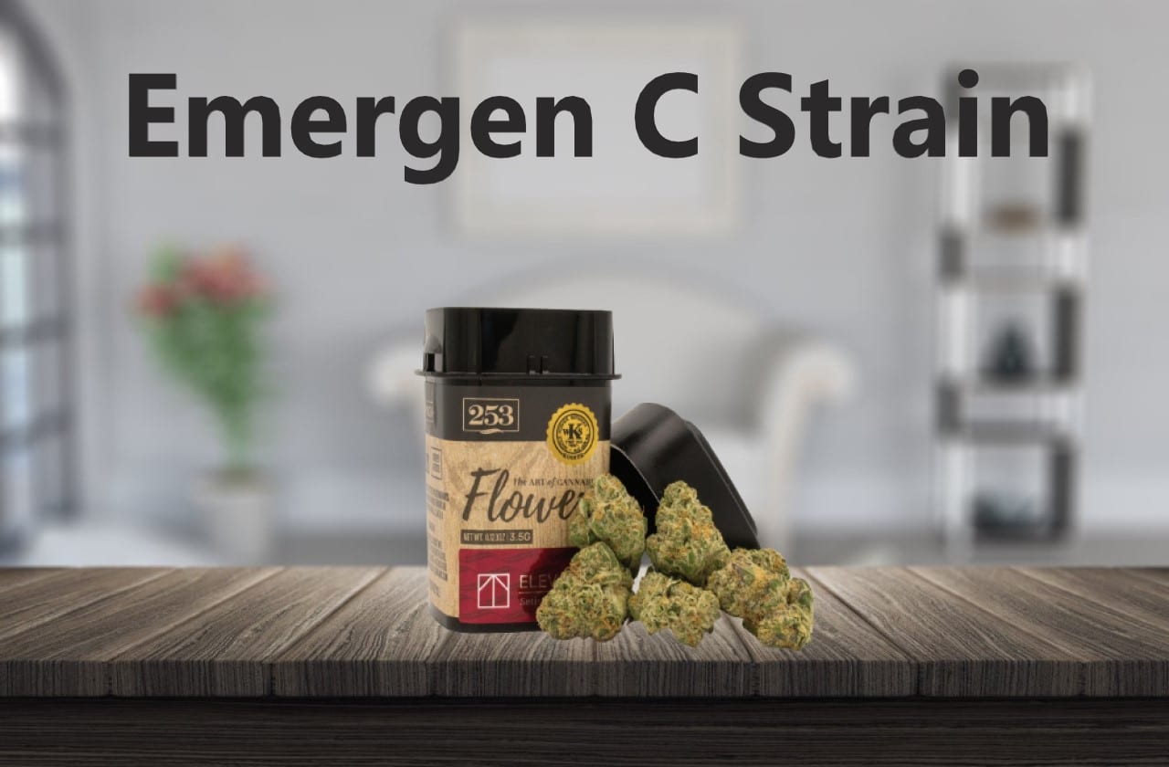 Emergen C Strain: Everything You Need To Know