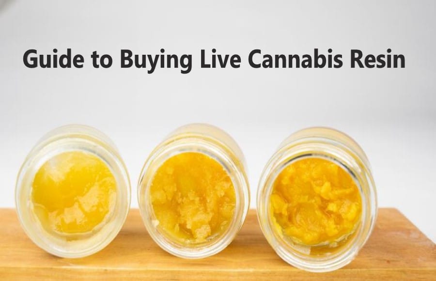 Live Cannabis Resin