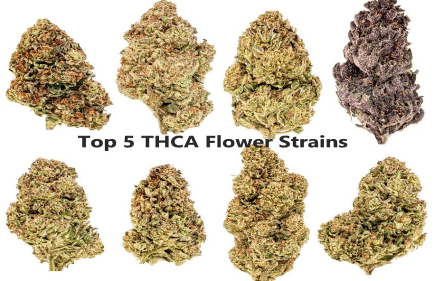 Top 5 THCA Flower Strains