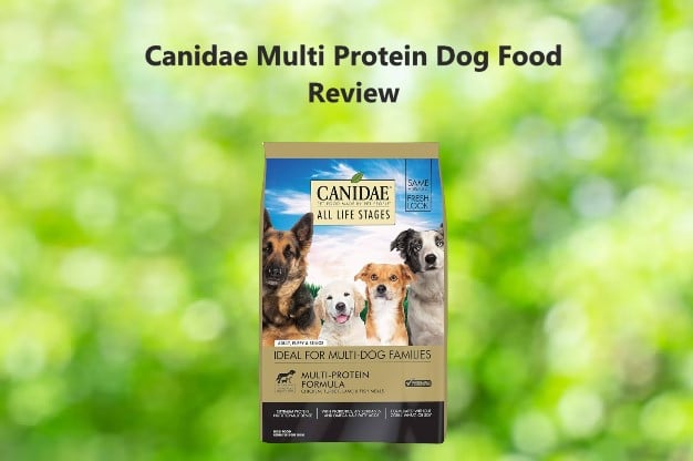 Canidae Multi Protein Dog Food
