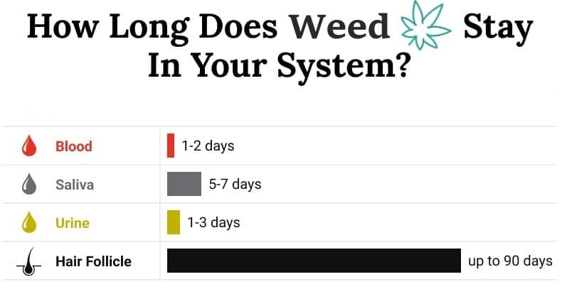 How Long Does Weed Stay In Your System Easy Calculator
