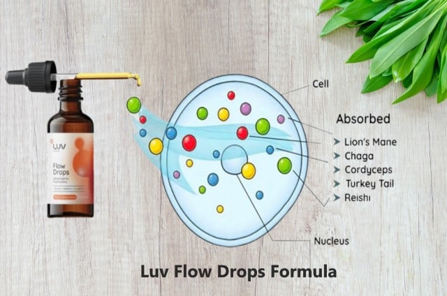 Luv Flow Drops Ingredients Formula