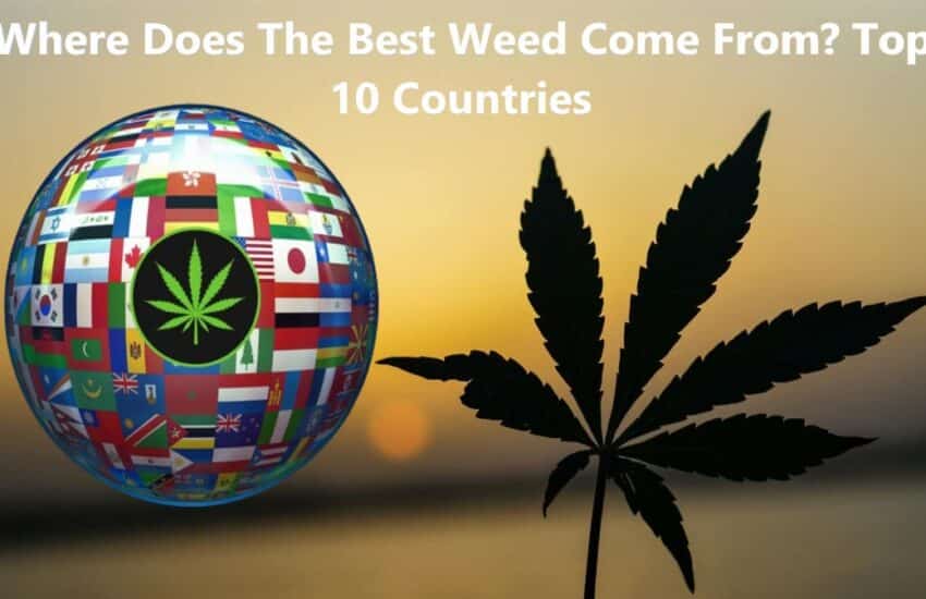 Where Does The Best Weed Come From - Top 10 Countries