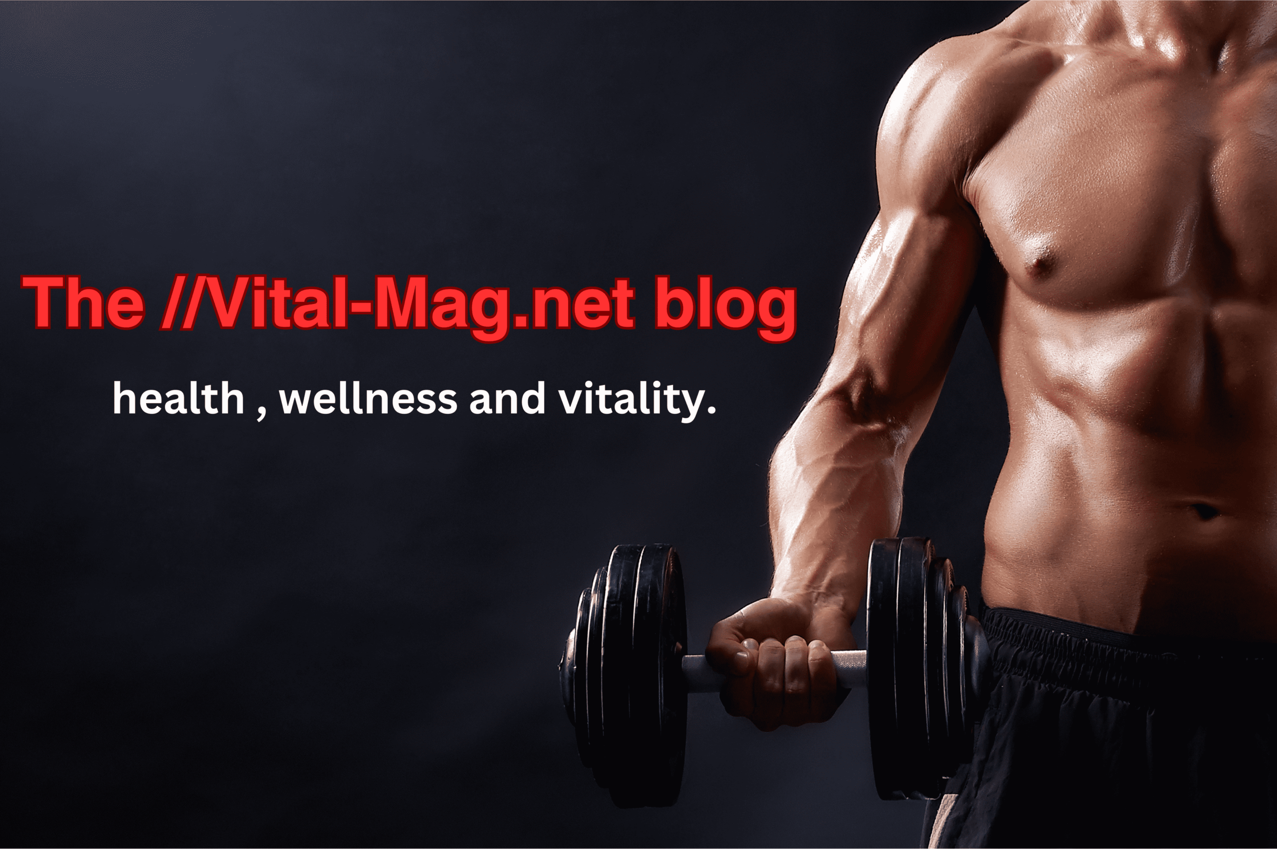 The Vital-Mag.net blog